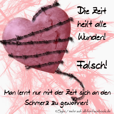  Die Zeit heilt alle Wunden.....